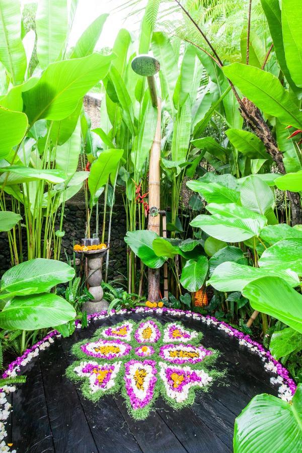 Balikayanas Bamboo House - Miggiell House Villa Karangasem  Bagian luar foto